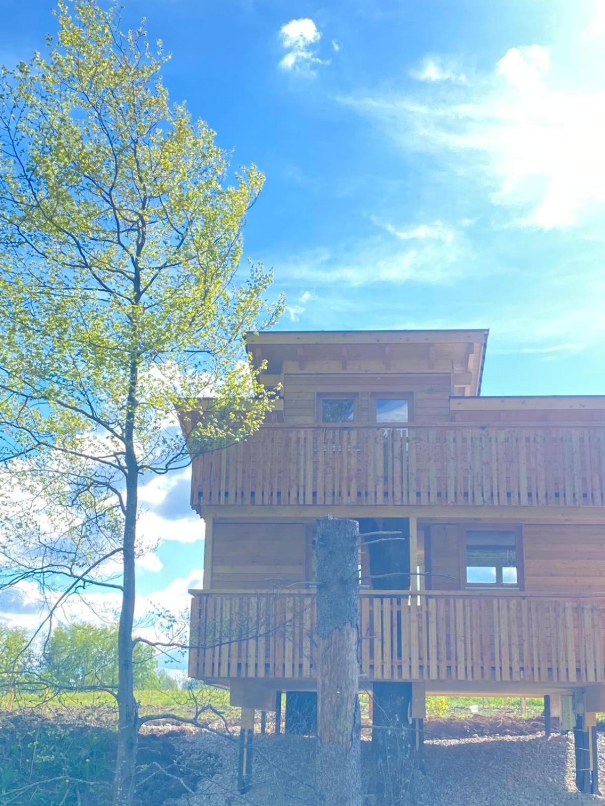 Wald Ist Zukunft Otel Bernbeuren Dış mekan fotoğraf