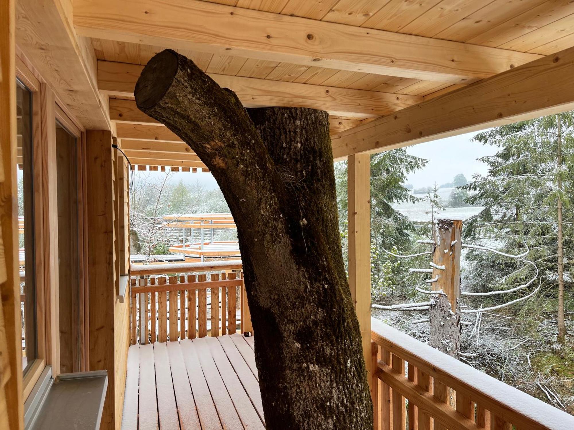 Wald Ist Zukunft Otel Bernbeuren Dış mekan fotoğraf