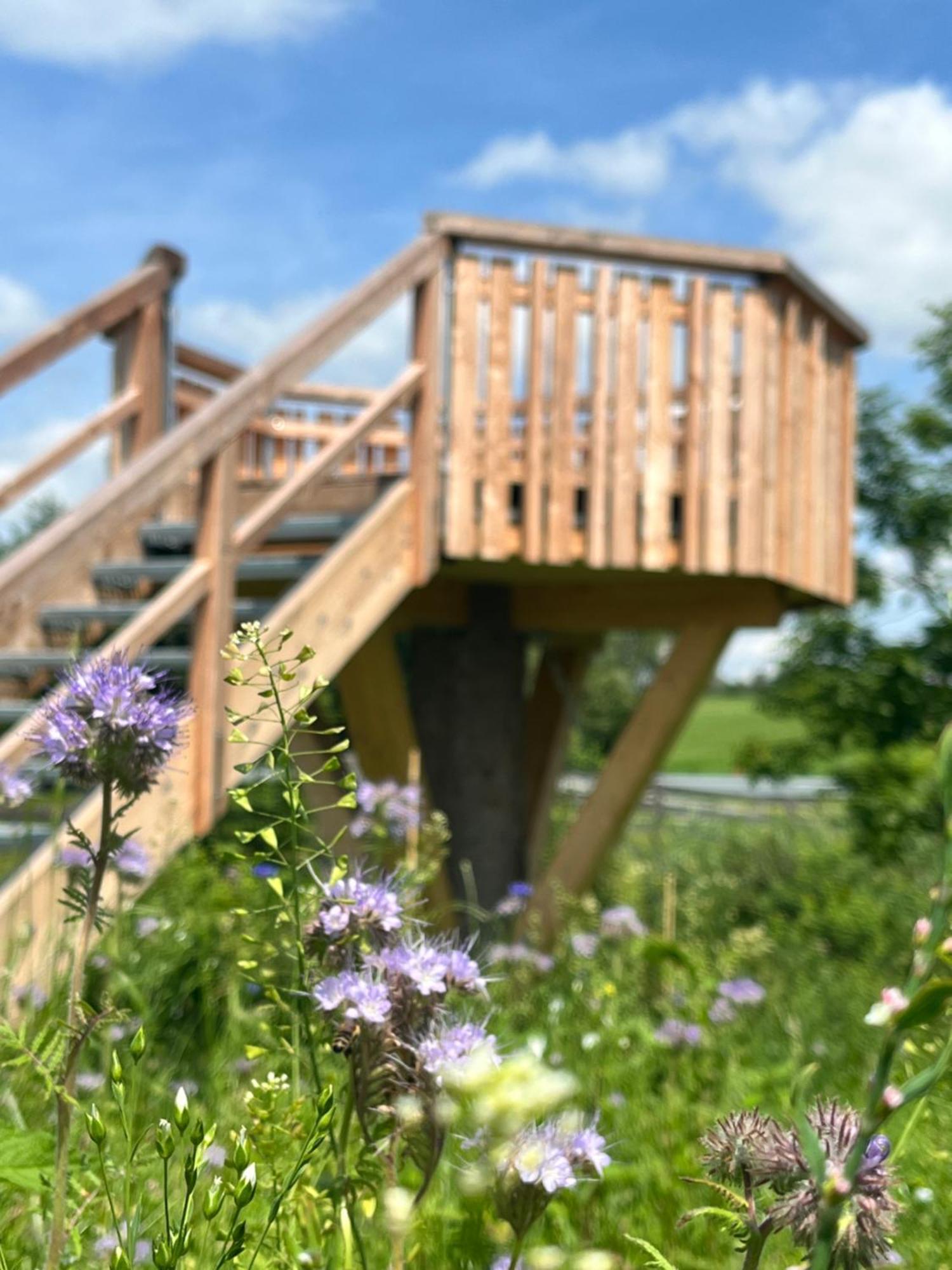 Wald Ist Zukunft Otel Bernbeuren Dış mekan fotoğraf