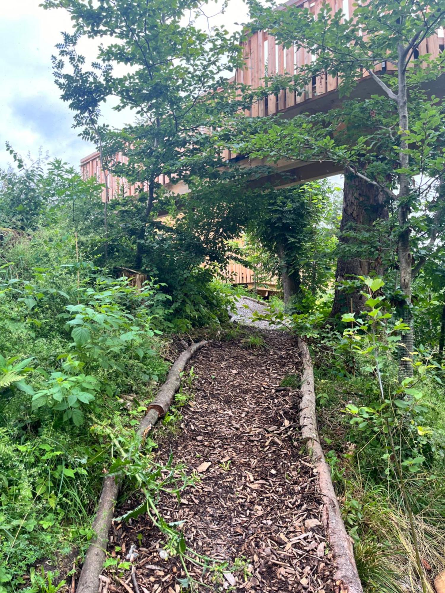 Wald Ist Zukunft Otel Bernbeuren Dış mekan fotoğraf