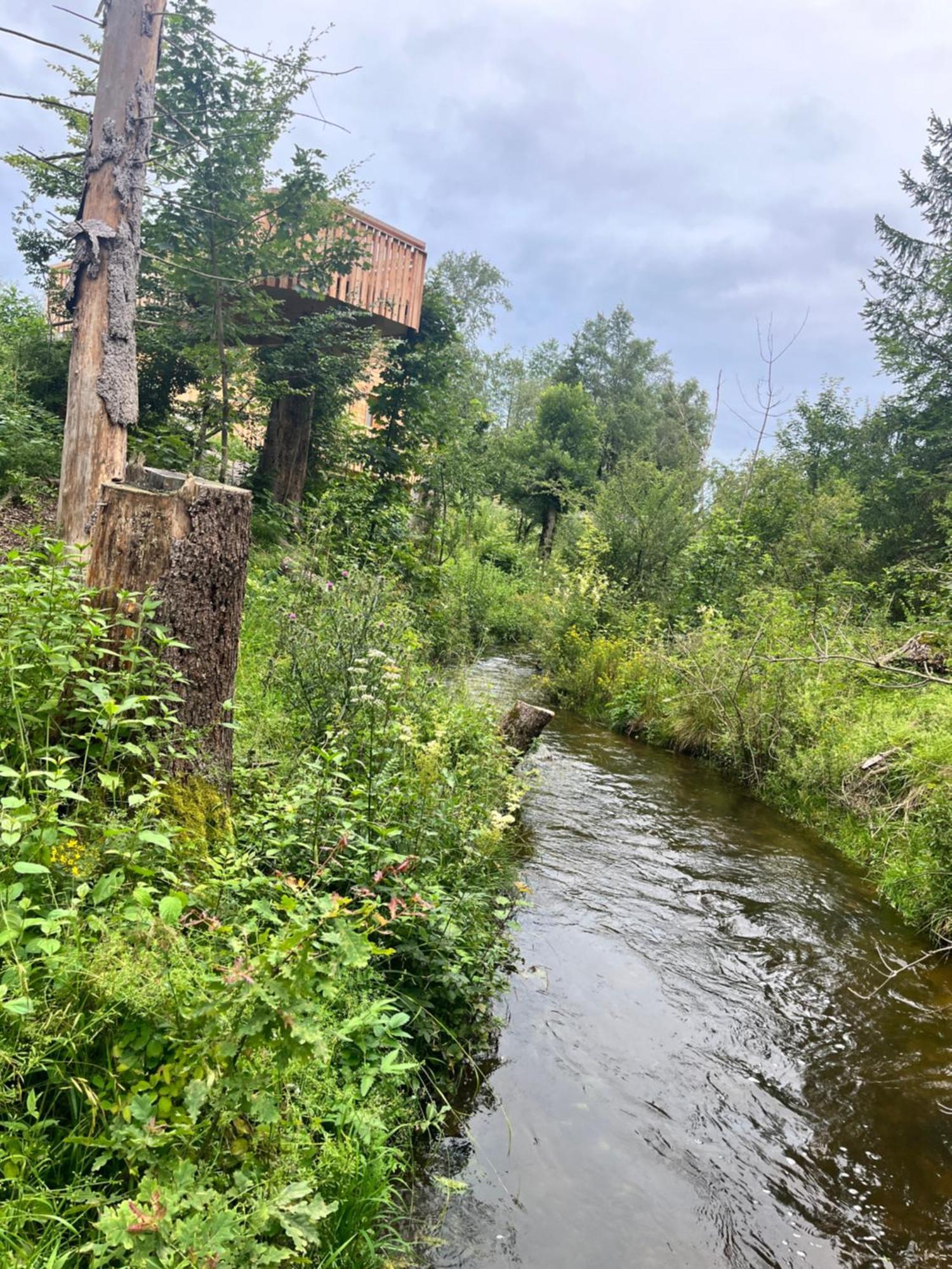 Wald Ist Zukunft Otel Bernbeuren Dış mekan fotoğraf
