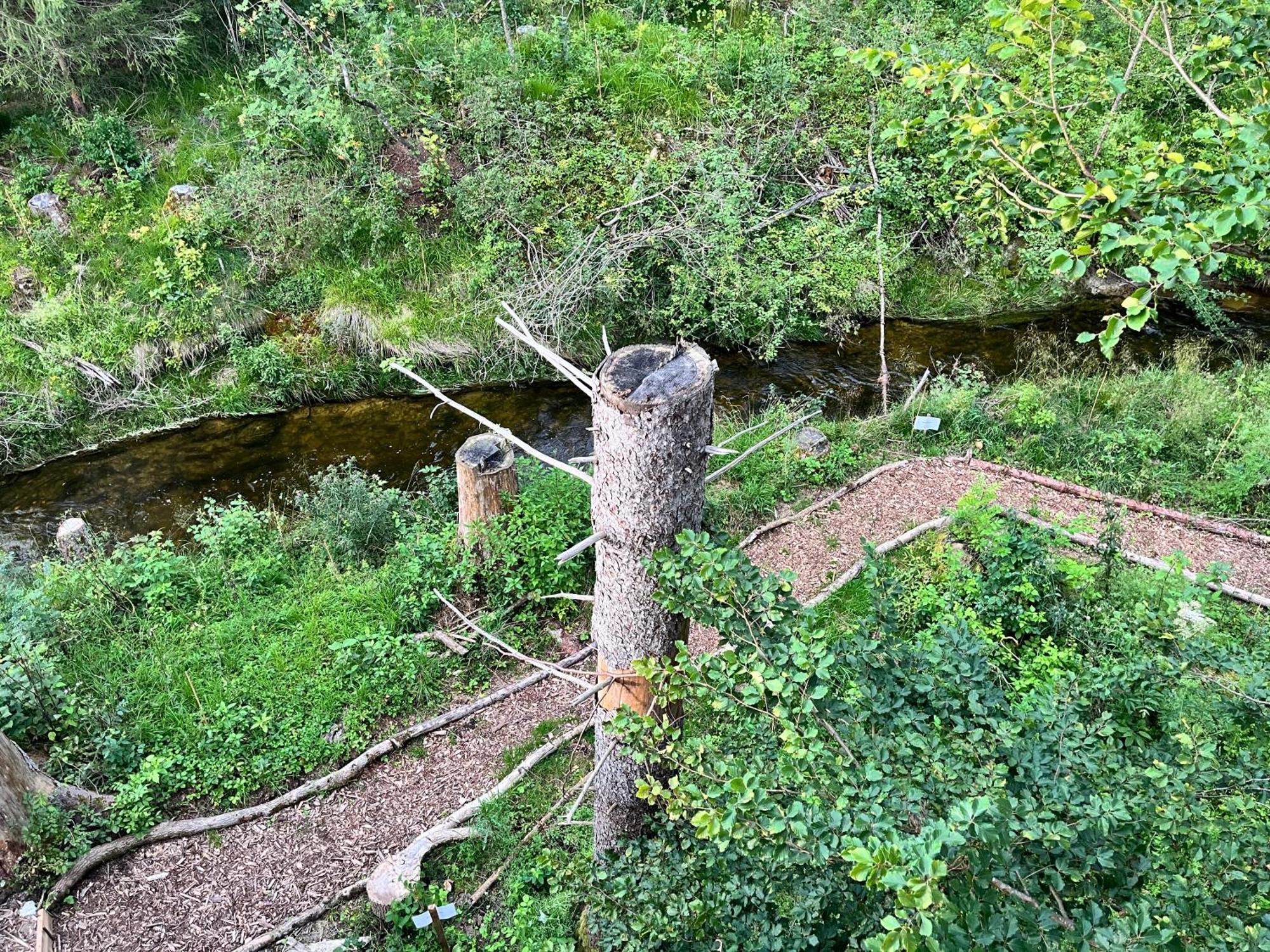 Wald Ist Zukunft Otel Bernbeuren Dış mekan fotoğraf