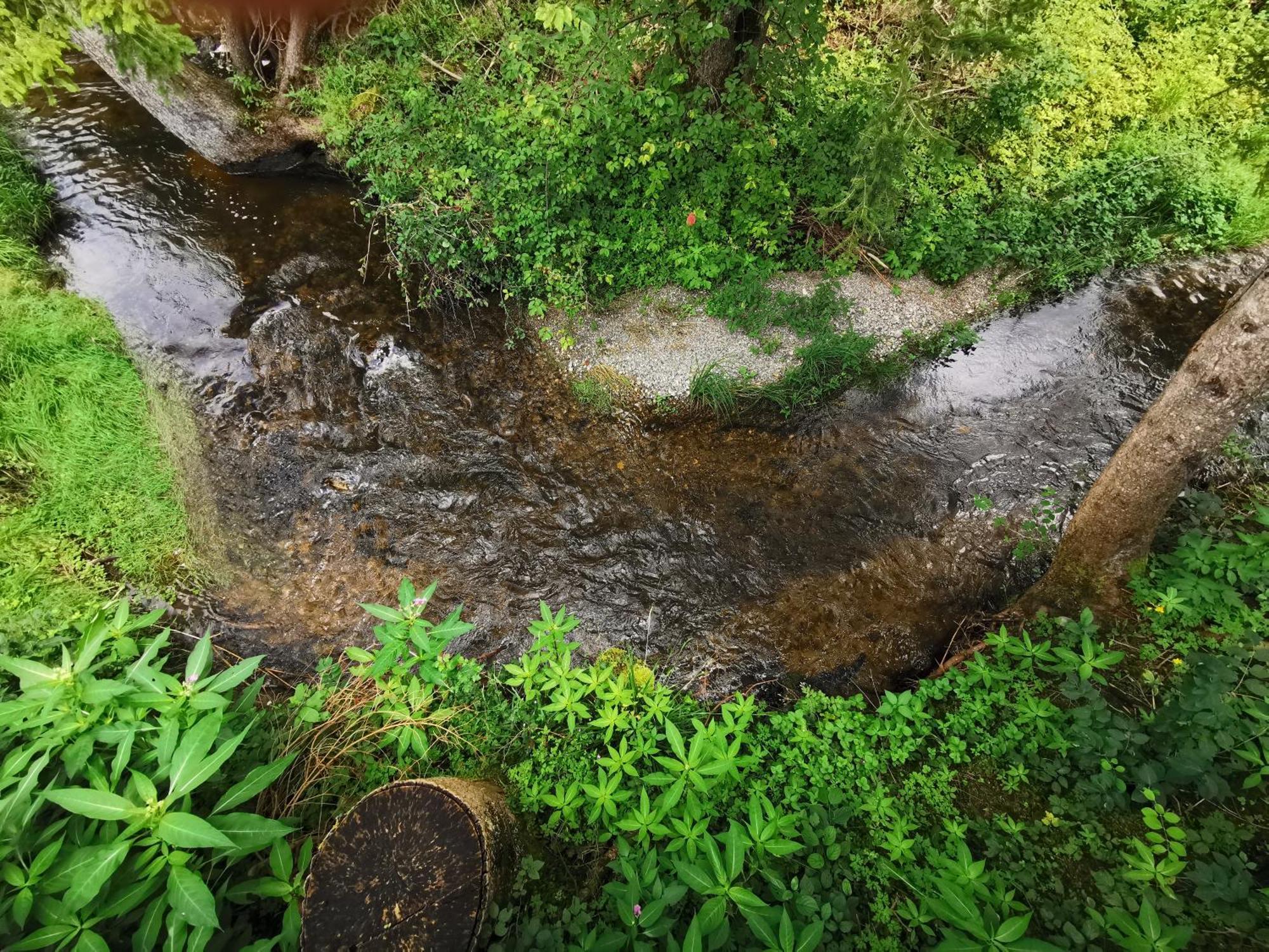 Wald Ist Zukunft Otel Bernbeuren Dış mekan fotoğraf