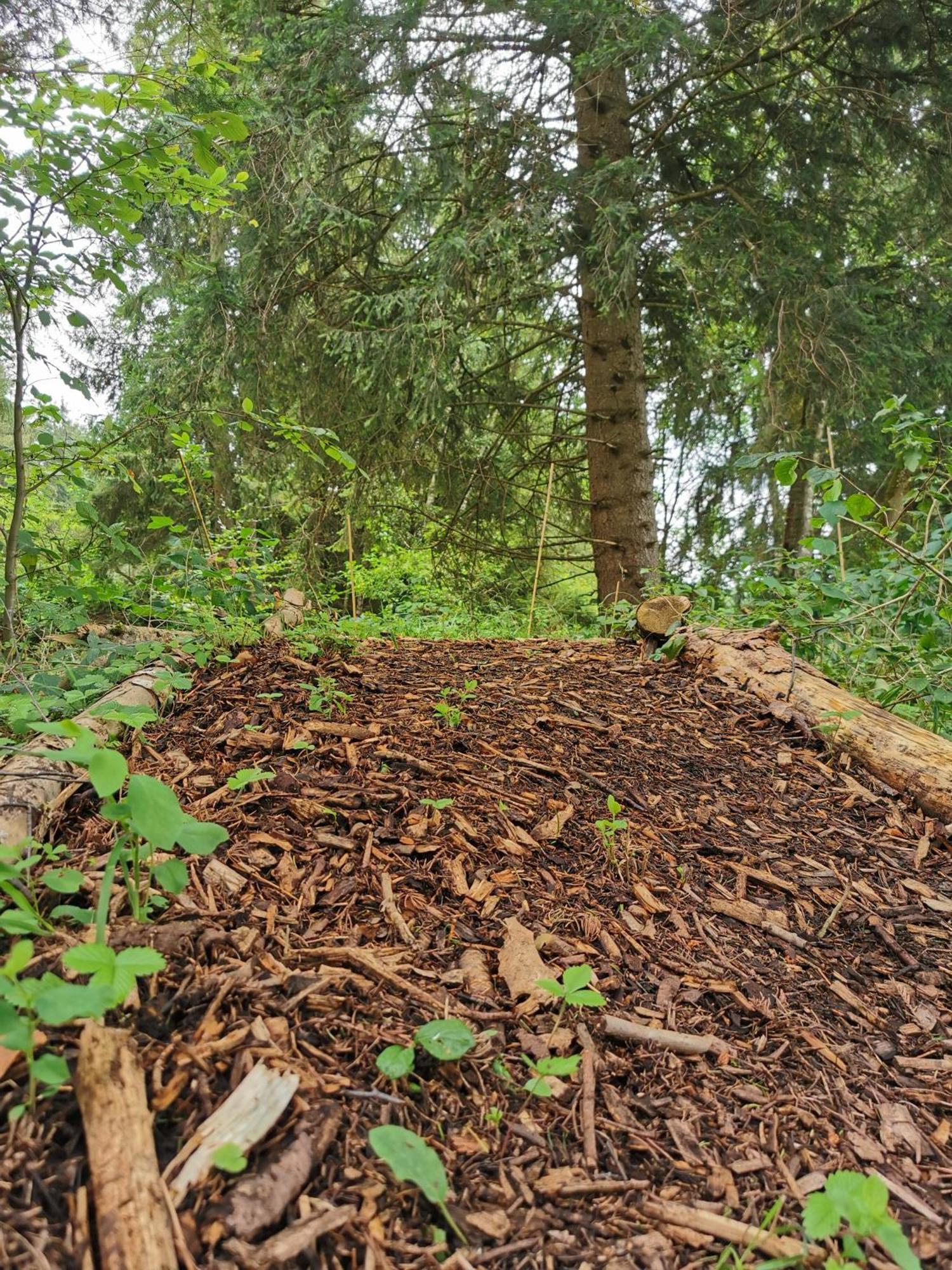 Wald Ist Zukunft Otel Bernbeuren Dış mekan fotoğraf