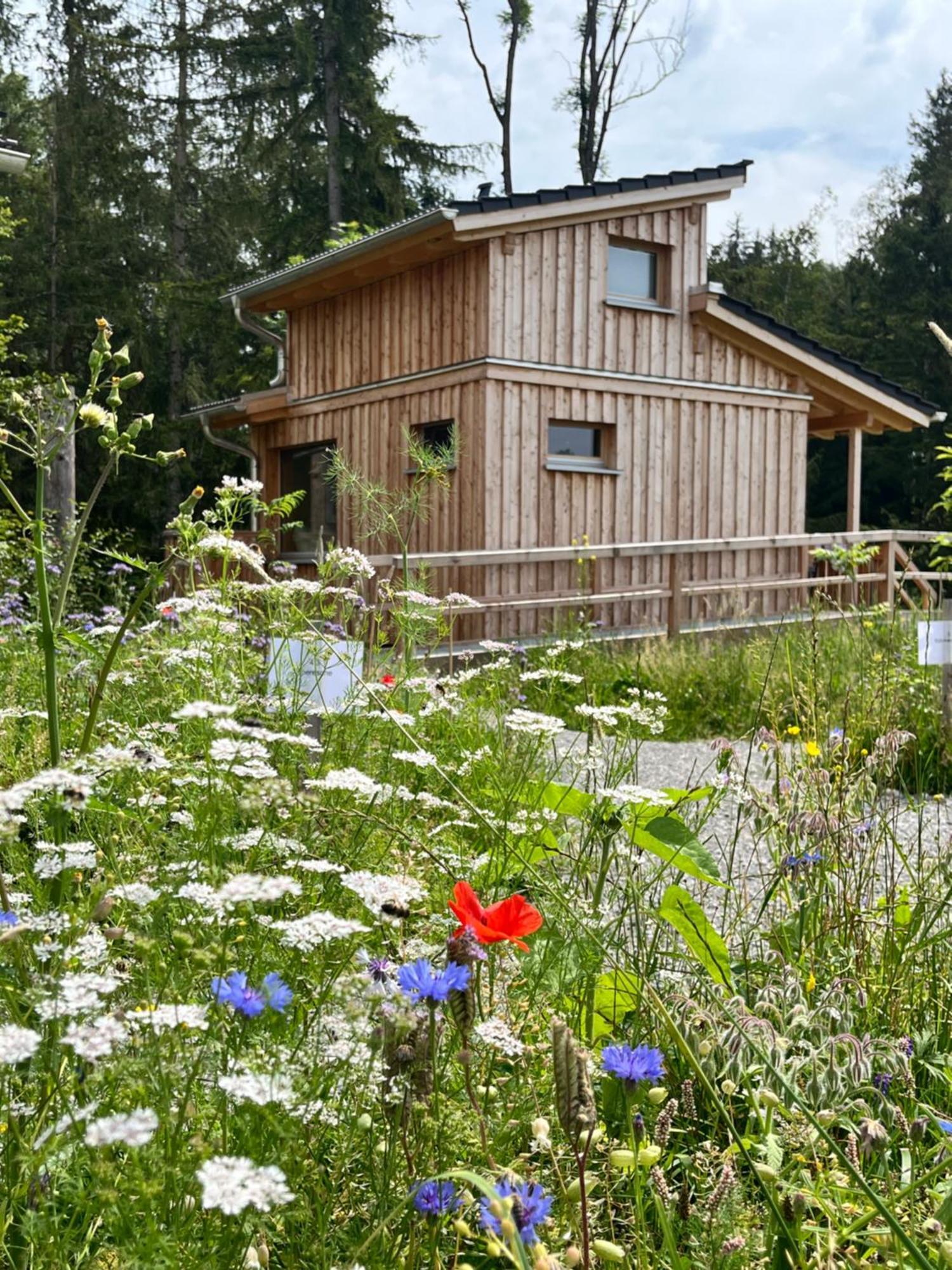 Wald Ist Zukunft Otel Bernbeuren Dış mekan fotoğraf