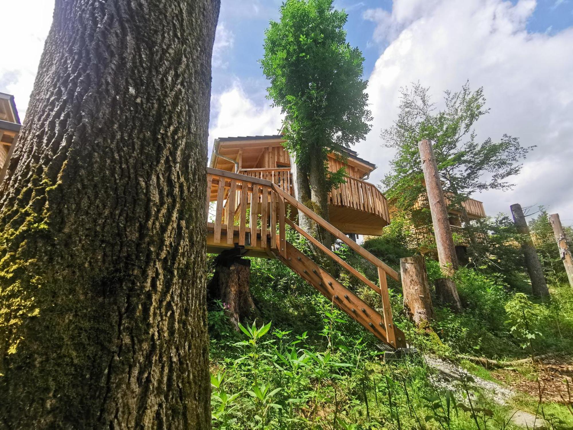 Wald Ist Zukunft Otel Bernbeuren Dış mekan fotoğraf