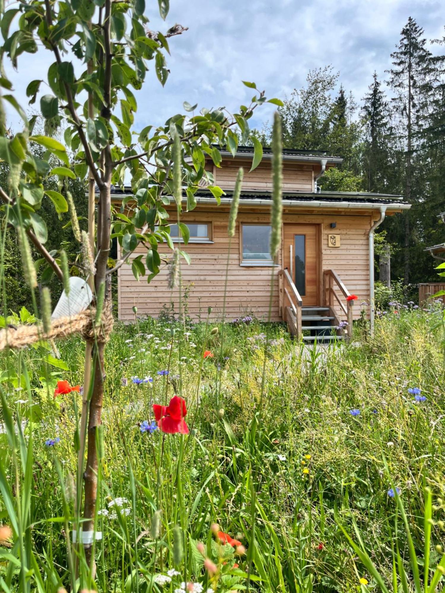 Wald Ist Zukunft Otel Bernbeuren Dış mekan fotoğraf