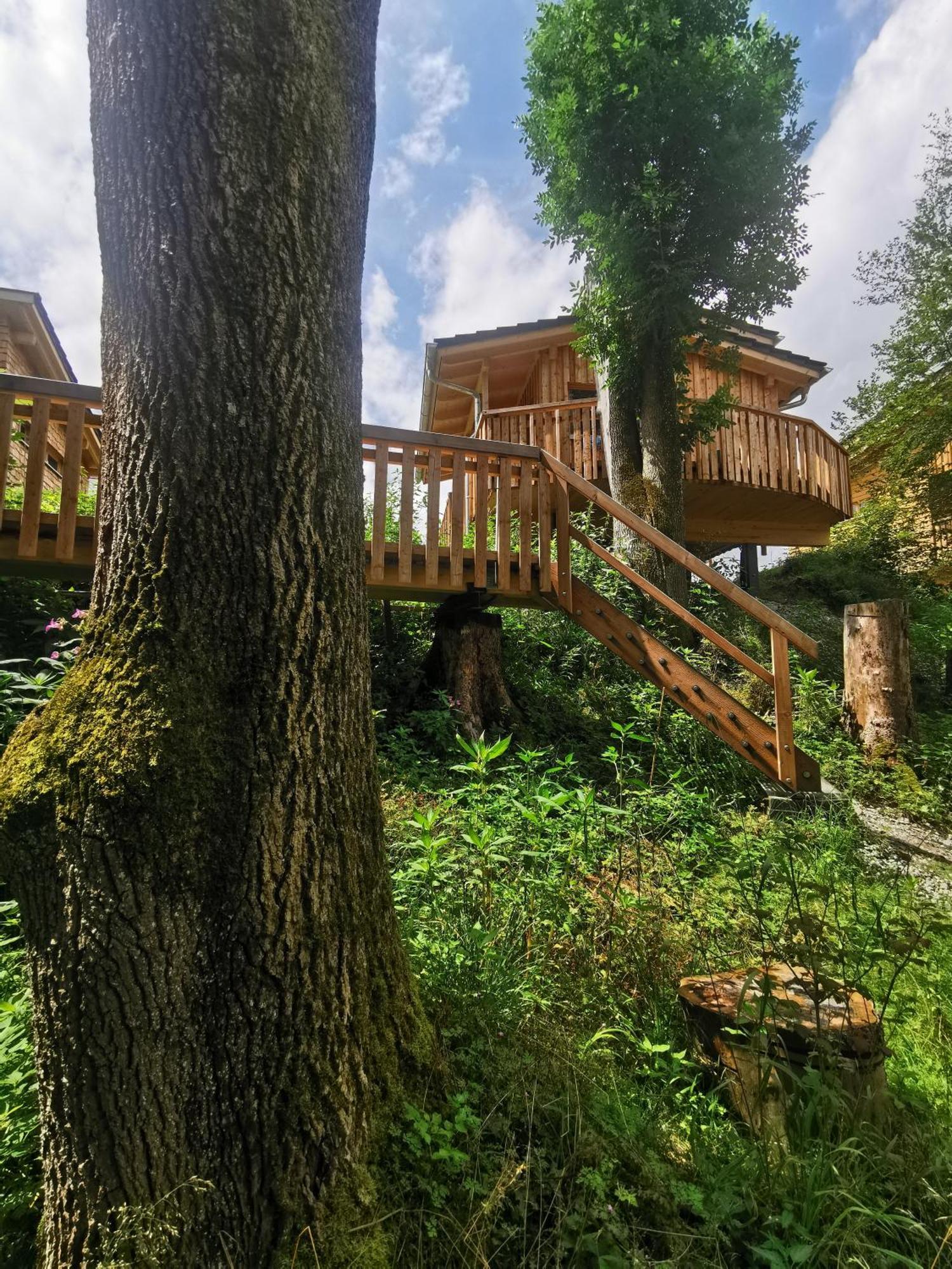Wald Ist Zukunft Otel Bernbeuren Dış mekan fotoğraf