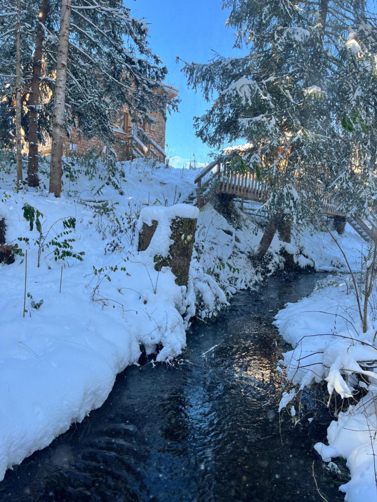 Wald Ist Zukunft Otel Bernbeuren Dış mekan fotoğraf
