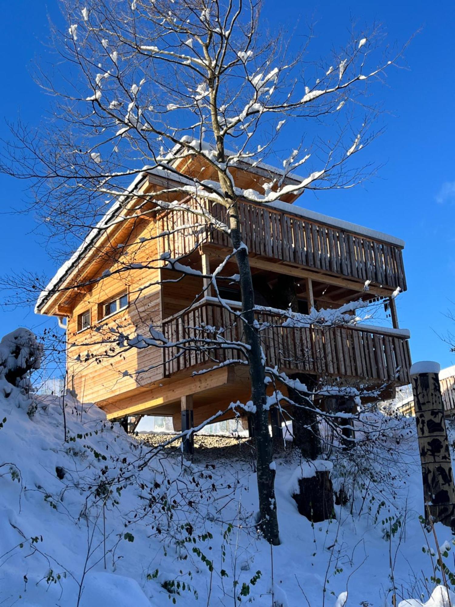 Wald Ist Zukunft Otel Bernbeuren Dış mekan fotoğraf