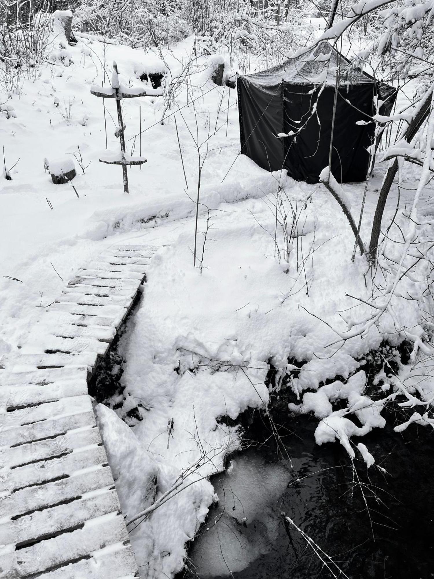 Wald Ist Zukunft Otel Bernbeuren Dış mekan fotoğraf