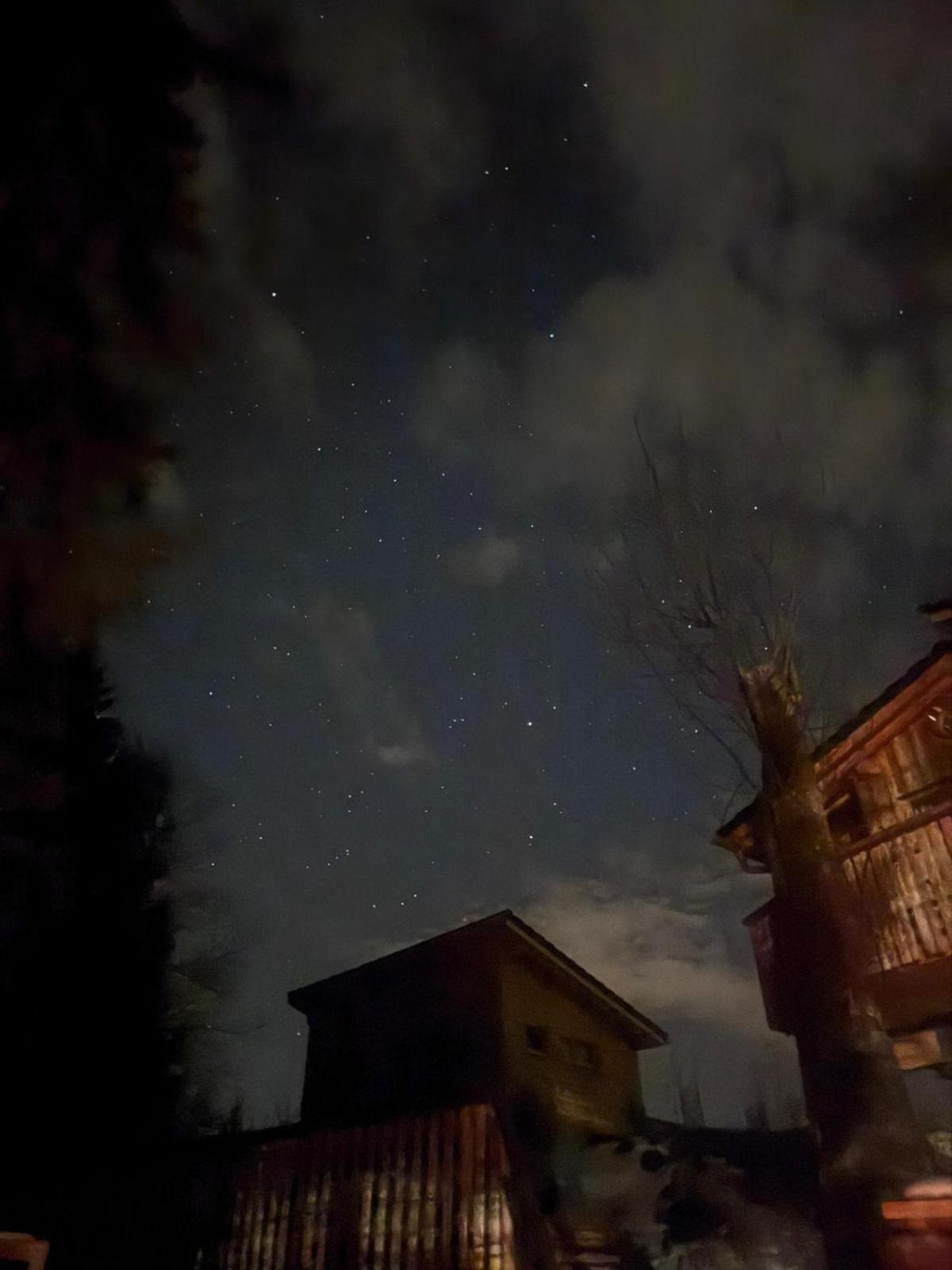 Wald Ist Zukunft Otel Bernbeuren Dış mekan fotoğraf